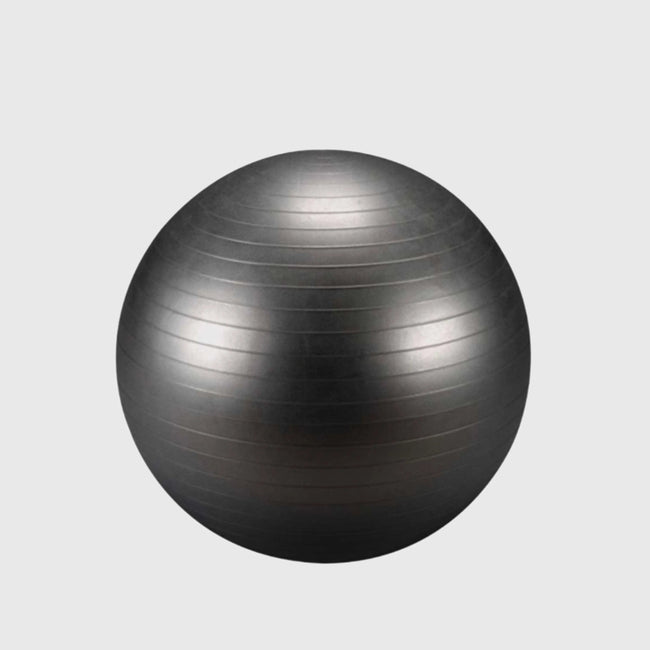 Swiss Ball - BLK BOX